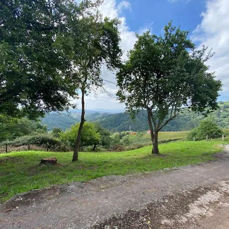 Kiko Asturias Ca-as-4727