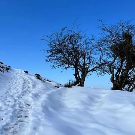 Kiko Asturias Ca-as-4727 * Bimenes
